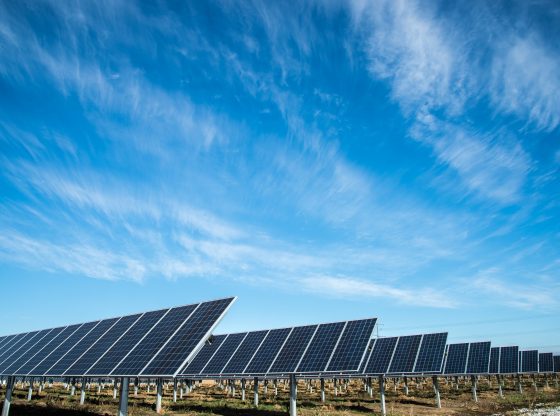 solar (American Public Power Association/Unsplash)