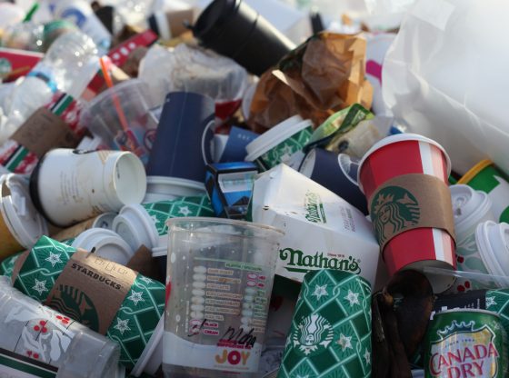 plastics (Jasmin Sessler/Unsplash)
