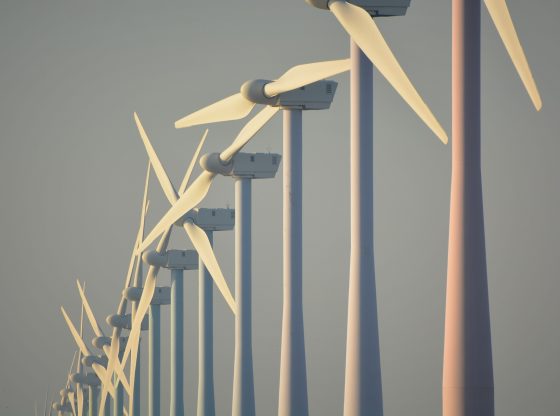 wind (Ben Kerckx from Pixabay)