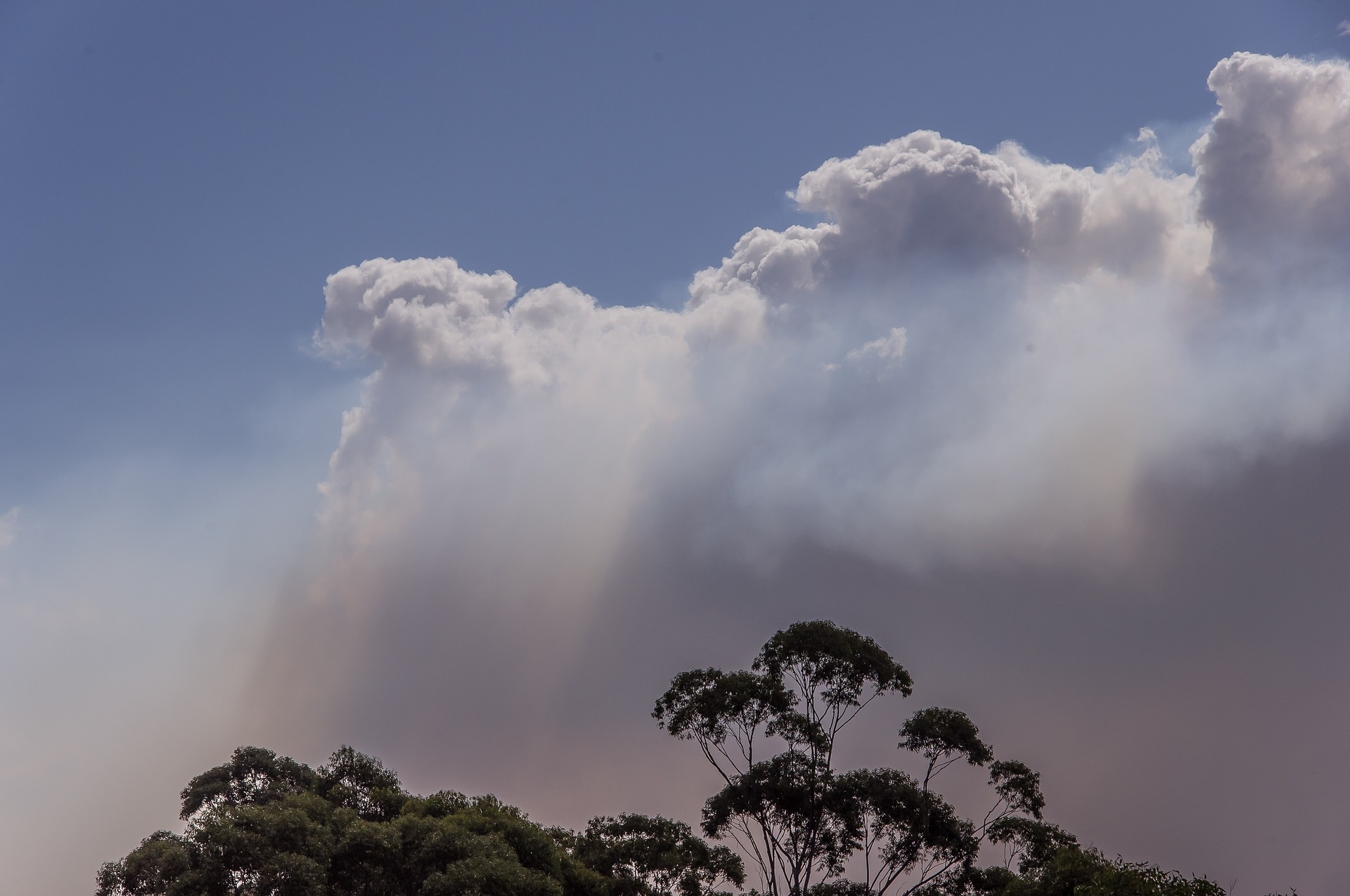 smoke-1461261_1920 (Image by sandid from Pixabay)