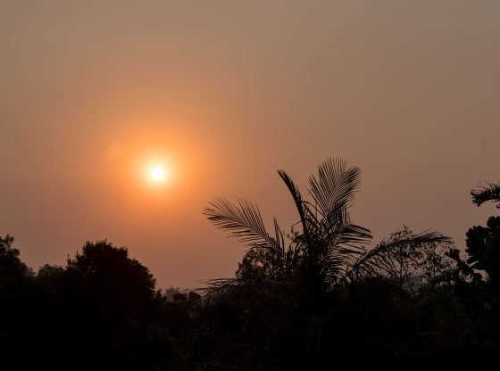bushfire (sandid from Pixabay)
