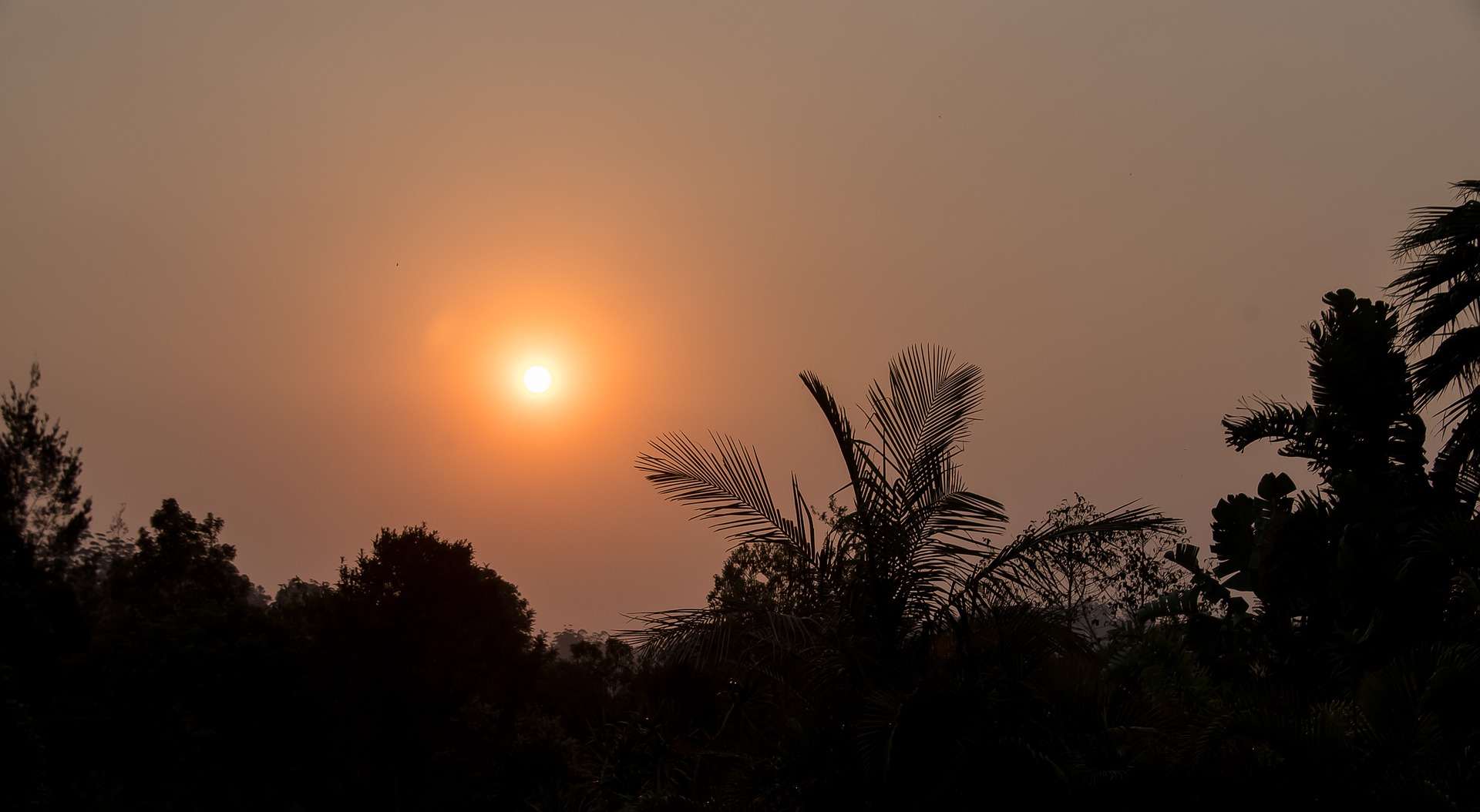 bushfire (sandid from Pixabay)
