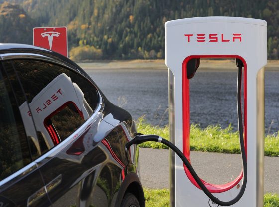 tesla (Blomst from Pixabay)