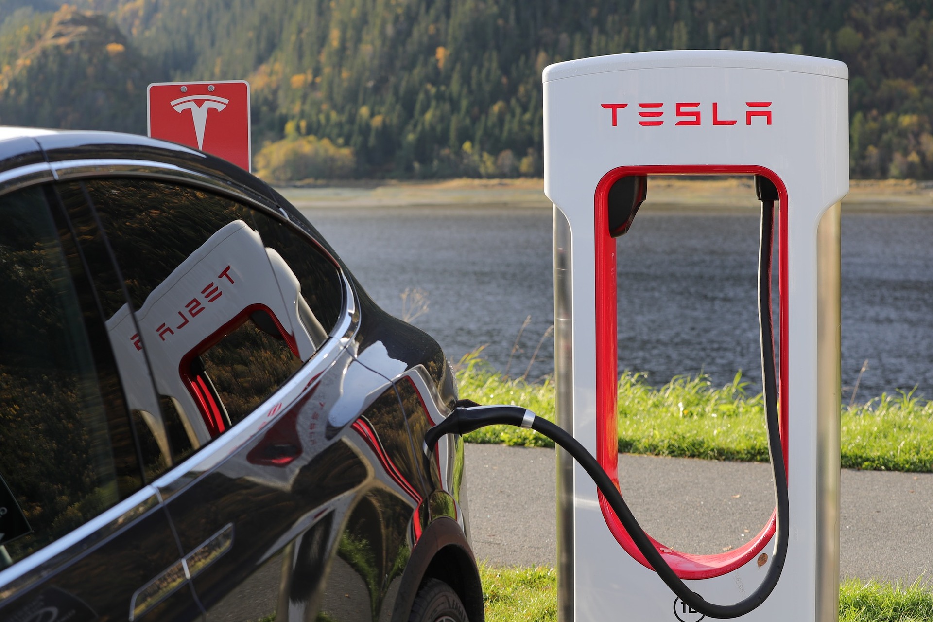 tesla (Blomst from Pixabay)