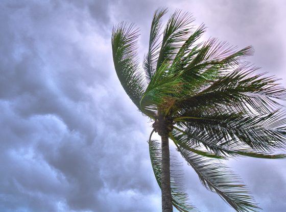 storm (Suparerg Suksai from Pexels)
