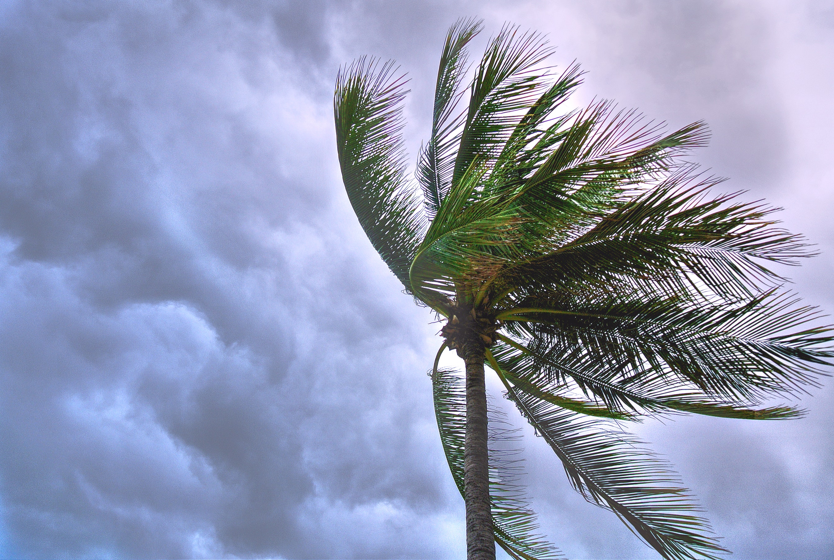 storm (Suparerg Suksai from Pexels)