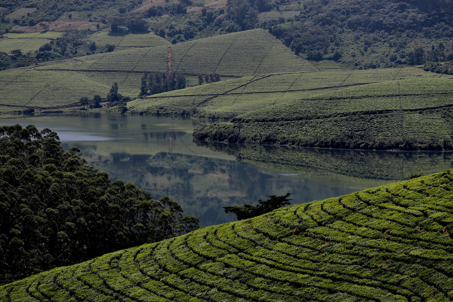 Zimbabwe farm (Photo by Tatenda Mapigoti on Unsplash)