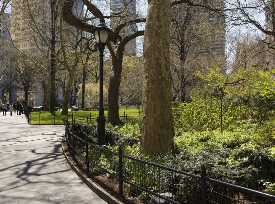 central park nyc