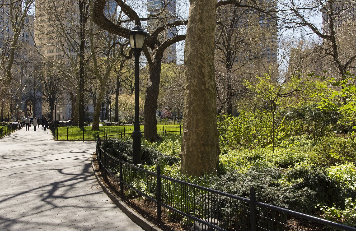 central park nyc
