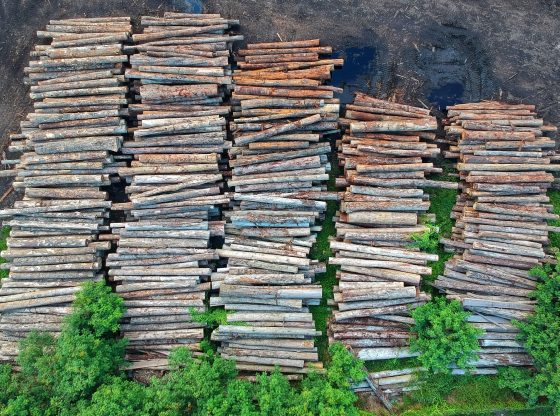 Deforestation (Pok Rie from Pexels)