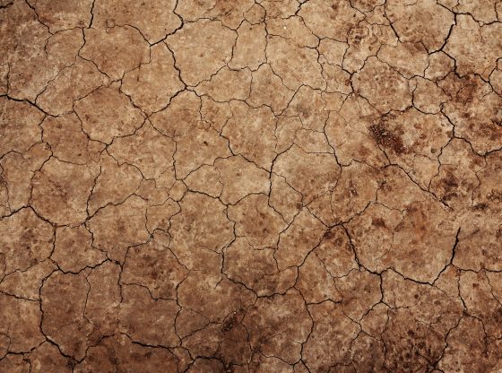 Soil erosion (PublicDomainPictures from Pixabay)