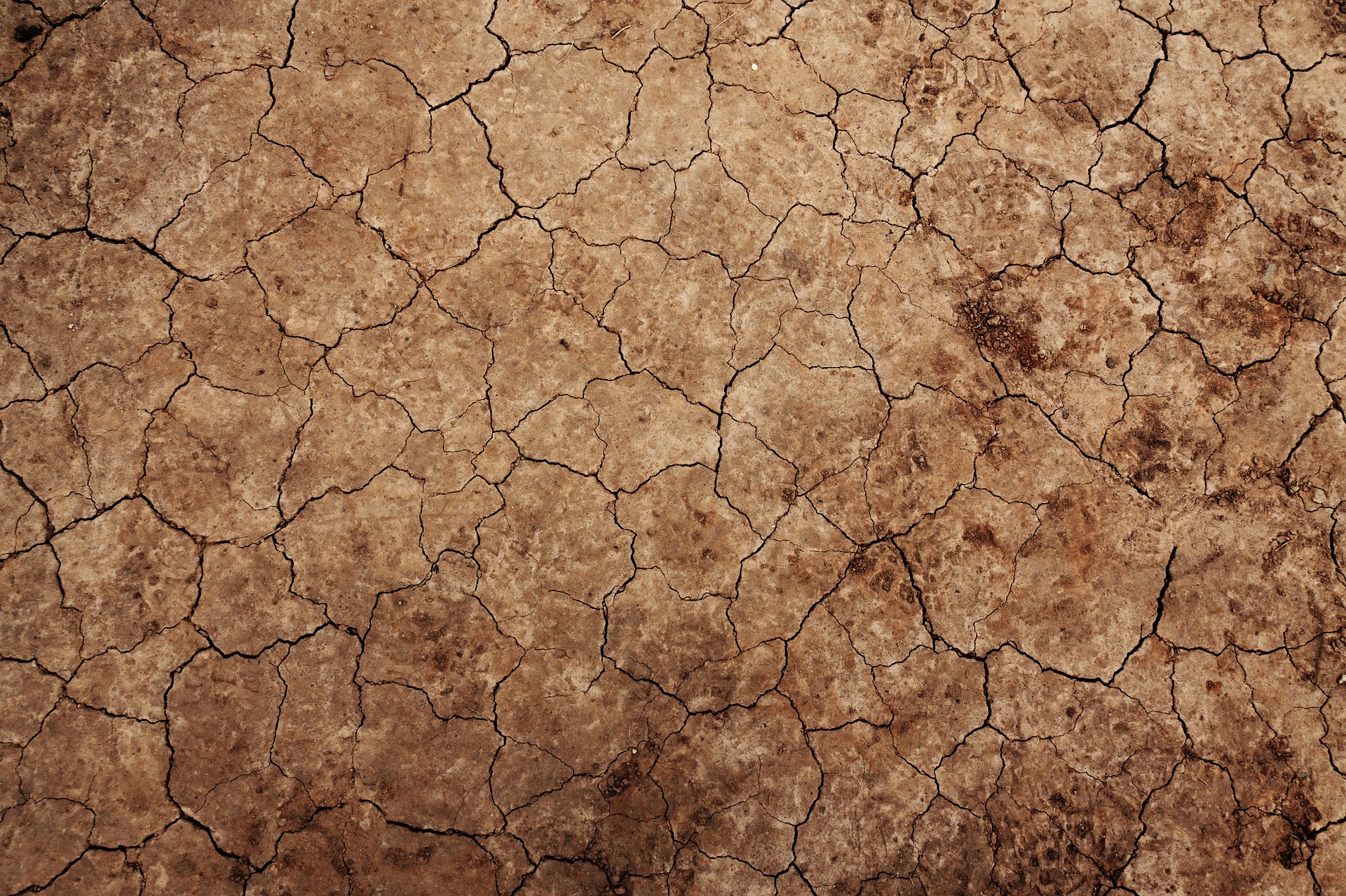 Soil erosion (PublicDomainPictures from Pixabay)