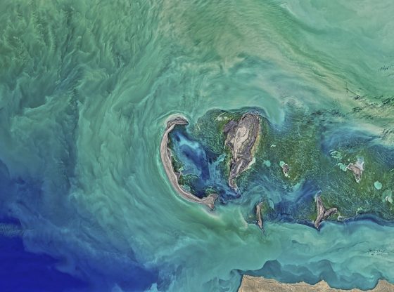 Caspian Sea (StockSnap from Pixabay)